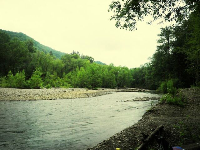 water, tree, tranquil scene, tranquility, scenics, beauty in nature, nature, clear sky, river, mountain, idyllic, forest, non-urban scene, growth, sea, sky, day, lake, landscape, outdoors