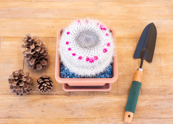 High angle view of various flowers on wooden table