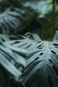 Full frame shot of wet metal