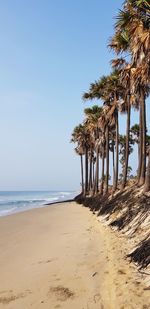 Scenic view of beach against clear sky