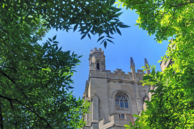 Low angle view of trees and building against sky