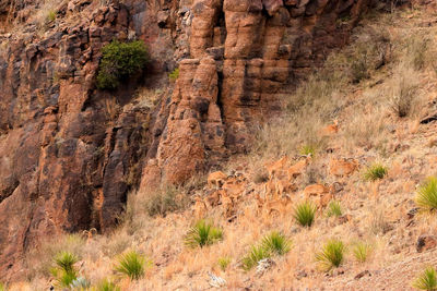 Rock formation on land