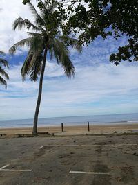 Trees on beach against sky