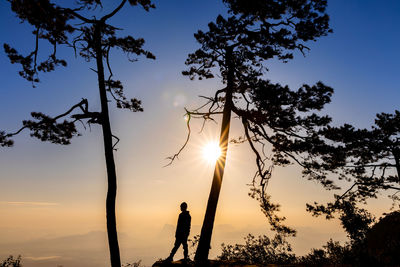 Silhouette man standing by tree against sky during sunset