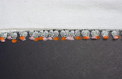 Close-up of orange flowers on wall