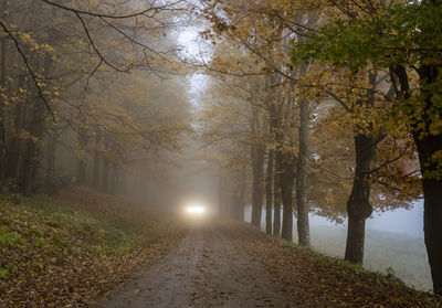 Road amidst trees during autumn