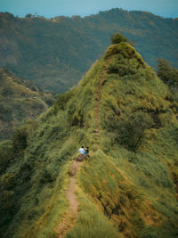 High angle view of road amidst trees on mountain