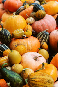 Full frame shot of pumpkins