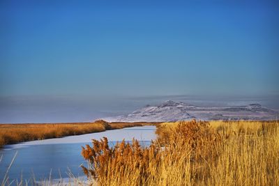 Scenic view of lake against blue sky during winter