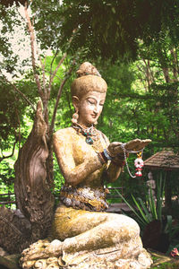 Portrait of young woman sitting on tree