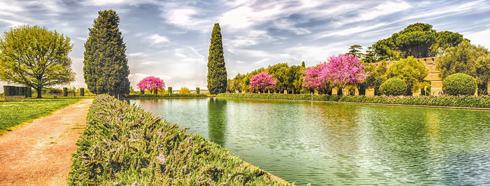 Plants by lake against sky