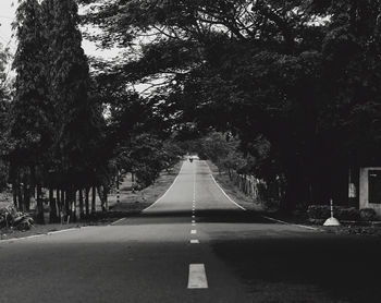 Road passing through trees