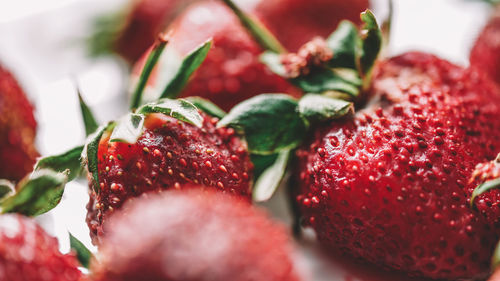 Close-up of strawberries