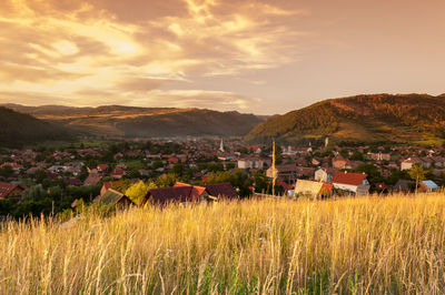 Houses on field by buildings against sky during sunset