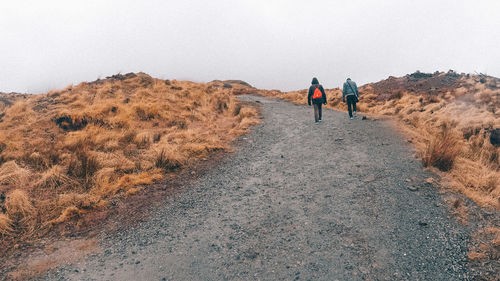 Rear view of people walking on mountain against sky