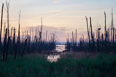 Scenic view of lake against sky during sunset