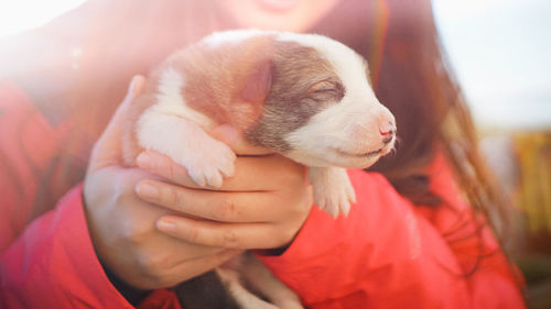 Close-up of woman holding dog