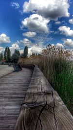 Surface level of footpath amidst trees on field against sky