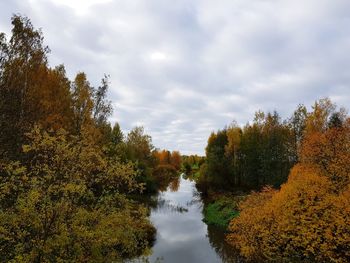 Scenic view of trees against sky during autumn