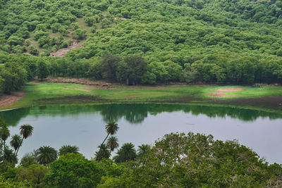 Scenic view of lake by trees