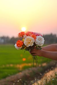 Close-up of flower bouquet on field