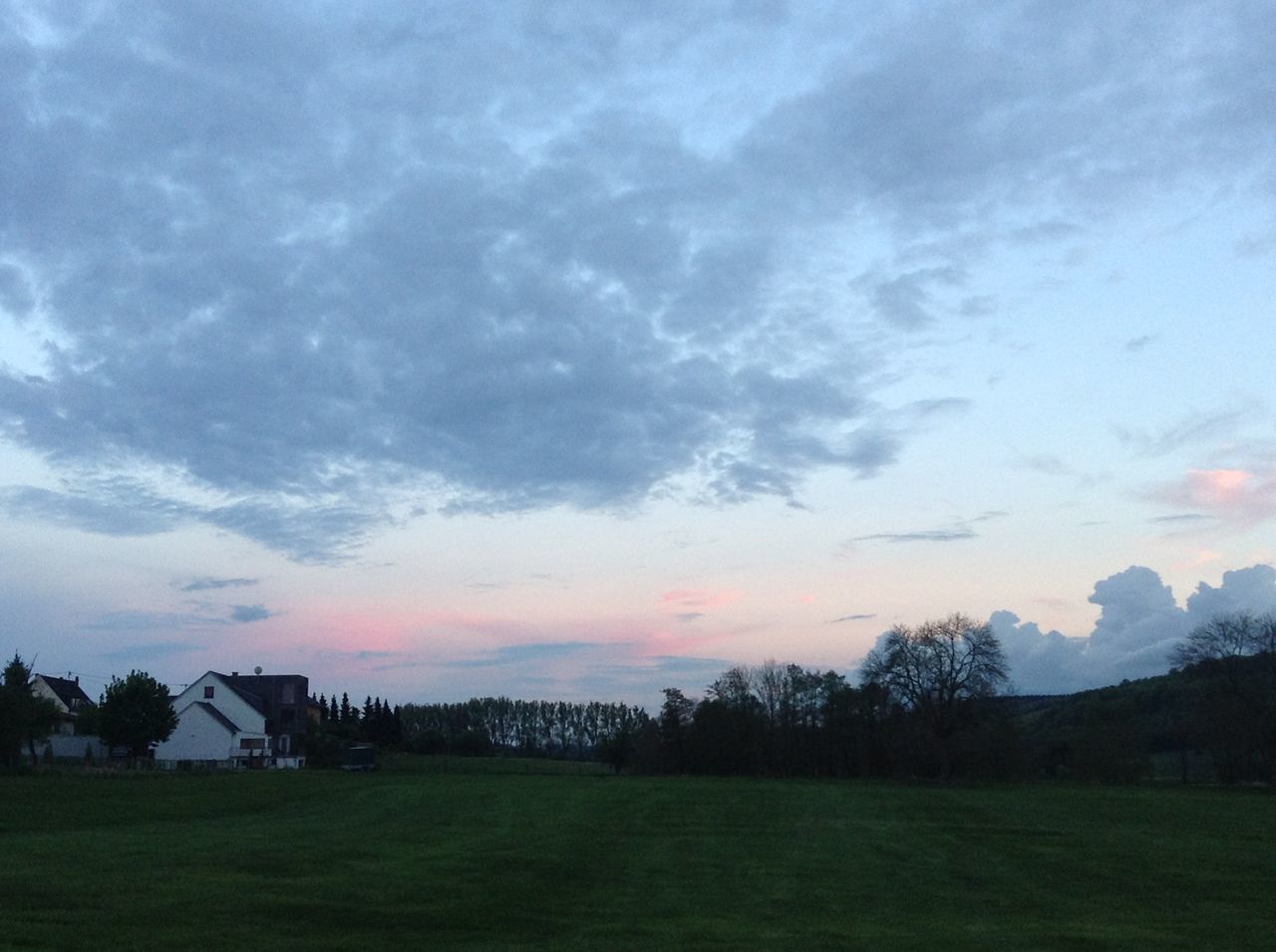 TREES IN FIELD AGAINST CLOUDY SKY