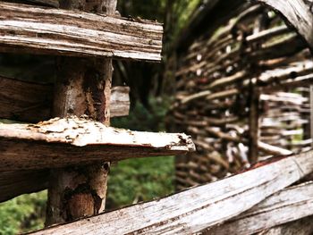 Close-up of wooden door