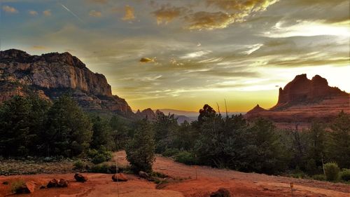 Trees growing by mountain against sky during sunset