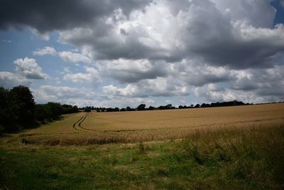 Scenic view of field against sky