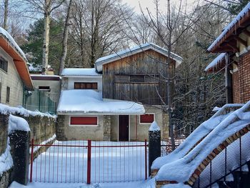 Snow covered houses and trees by building