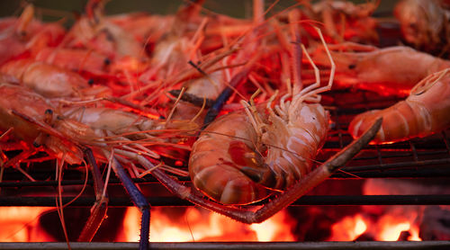 Close-up of meat on barbecue grill