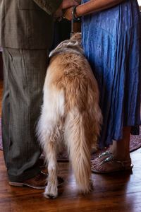 Low section of man with dog at home