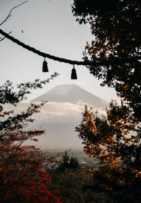 Scenic view of tree mountain against sky