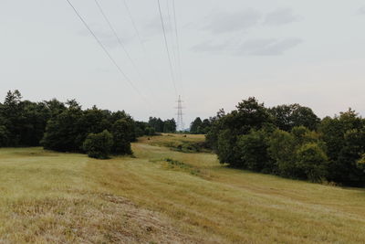 Trees on field against sky