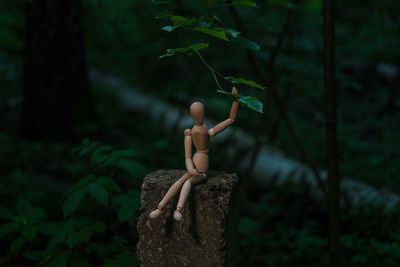 Close-up of figuring holding leaf on wood in forest