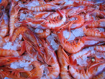 Full frame shot of prawns on ice at market