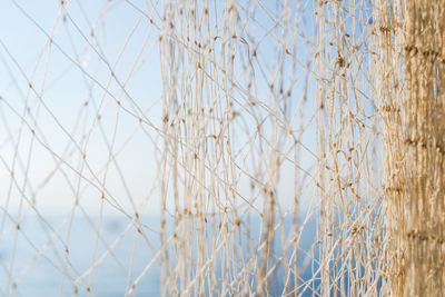 Full frame shot of fishing net 