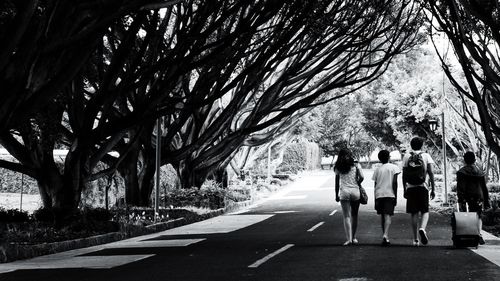 Rear view of friends walking on road