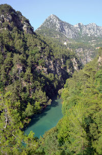 Scenic view of river amidst trees against sky