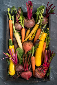 Flat lay of root vegetable including beets, rainbow carrots and yellow zucchini.