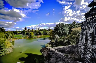 Reflection of trees in water