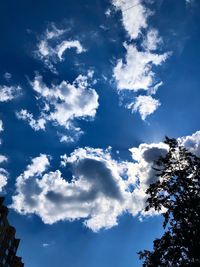 Low angle view of trees against blue sky