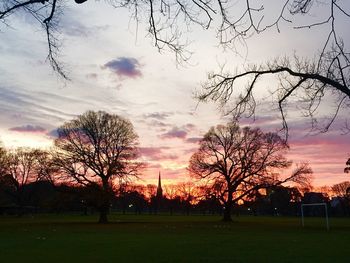 Silhouette bare trees on field against sky at sunset