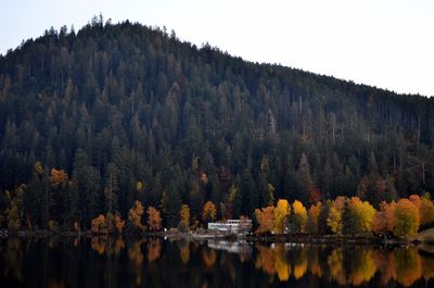 Scenic view of lake by trees in forest against sky