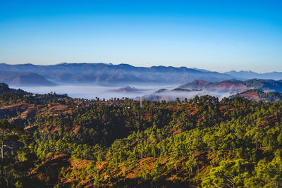 A beautiful and soothing landscape of mountains covered in clouds and green trees during winters.