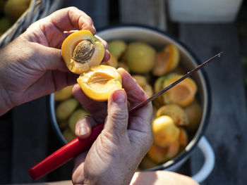 Close-up of hand holding apple