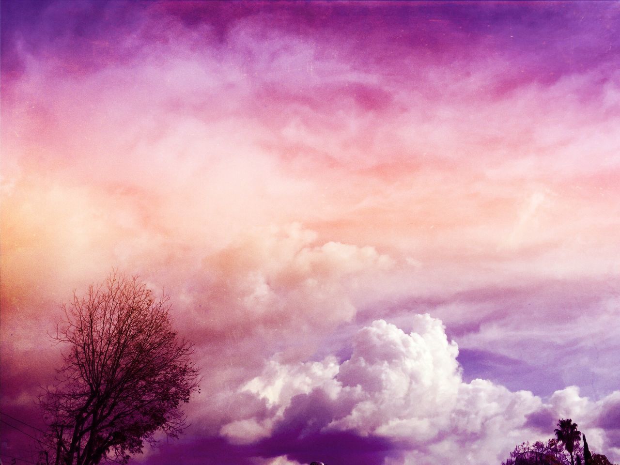 low angle view, sky, cloud - sky, tree, beauty in nature, silhouette, scenics, nature, tranquility, cloudy, tranquil scene, cloud, high section, outdoors, dusk, bare tree, treetop, cloudscape, idyllic, branch