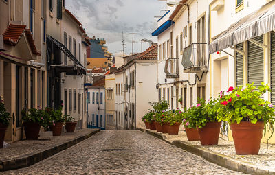 Street amidst houses and buildings in town