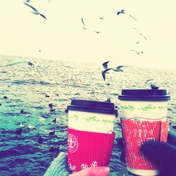 sea