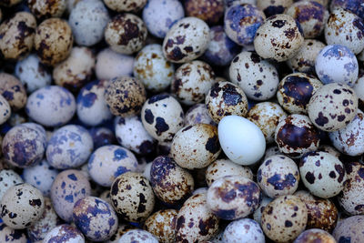 Full frame shot of blueberries